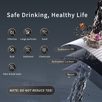 Dispensador de Agua de Sobremesa de Lujo de 4L en Oferta, Dispensador de Agua Caliente y Fría Instantáneo Programable y Personalizable con Filtro