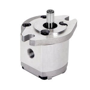 Pompes hydrauliques à engrenages en aluminium à usage automobile et <span class=keywords><strong>naval</strong></span> pour l'équipement des machines de moulage par injection Technologie de pompe de qualité supérieure - Product Image 3