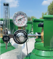 Bouteille de gaz argon haute pureté 99,999 %, 200 bars, pour soudage industriel, avec valve et bouchon