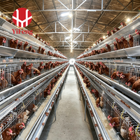 Cage à poules pondeuses automatique de type A pour 120 oiseaux, galvanisée à chaud, cage à batterie de type A pour élevage avicole