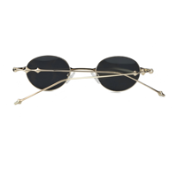 Lunettes de soleil tendance et élégantes, monture métallique, branches en titane, derniers modèles 2026, forme ovale SP3004