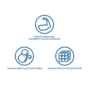 أقراص مستخلص البيريلا وفيتامين E للعلامات التجارية الخاصة لصحة الخصوبة للقطط والكلاب - خالية من الحبوب، تزيد من عدد الحيوانات المنوية وحيويتها - Product Image 3