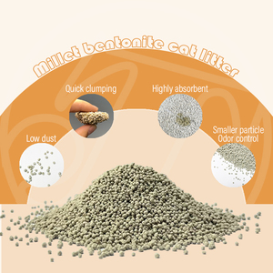 도매 Oem 4Kg/5Kg/8Kg/10Kg 냄새 제어 빠른 고수 흡수성 벤토나이트 기장 고양이 쓰레기 인쇄 가방 - Product Image 2