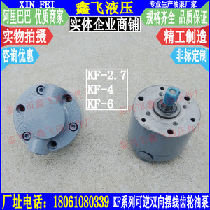 Bomba de Engranajes Cicloides Bidireccional Serie KF, Bomba de Aceite Reversible de Hierro Fundido para Reductor de Máquina Herramienta KF-2.7 KF-4 - Product Image 3