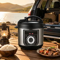 Cuisinière à riz électrique portable 24V 2,5L pour l'extérieur, avec minuterie numérique et fonction maintien au chaud pour le camping