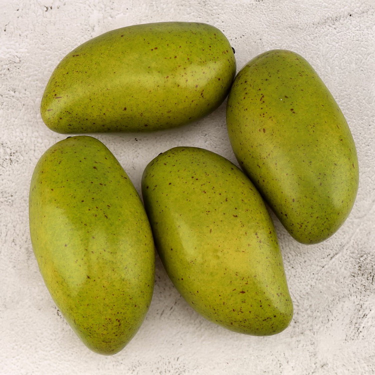 Menta
