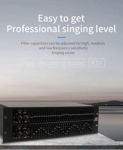 GAX-2231 DJ sistema de sonido equipo dj 2231 Dual canal 31 banda ecualizador gráfico 2231 ecualizador de audio - Product Image 2