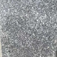 PAIA STONE Chine G668 Dalles de granit poli gris sésame, petites dalles pour sols, comptoirs et revêtements muraux, vente en gros
