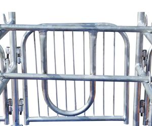 Équipements d'élevage porcin : Équipements en plastique pour truies, sol à lattes, cage de mise bas galvanisée pour porcs - Product Image 4