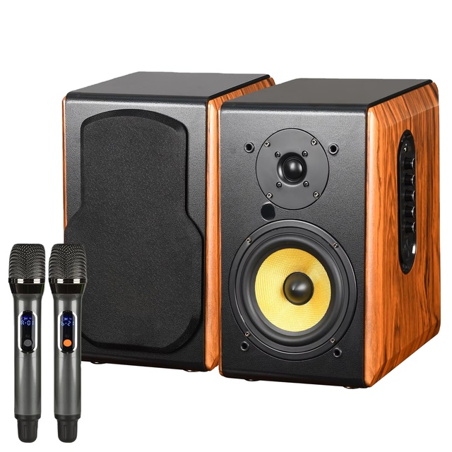 Wooden Karaoke Speaker with Mic and bluetooth Hifi Surround Sound Passive Bookshelf Speakers Computer Speakers with Subwoofer
