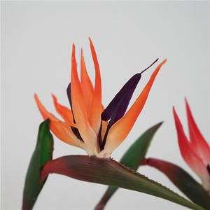 GZYX007 gran oferta Real Touch Strelitzia Reginae <span class=keywords><strong>Aiton</strong></span> simulación pájaro del paraíso tallo flor Artificial hogar sala de estar Decoración - Product Image 3
