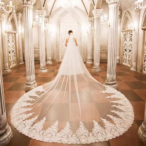 Boda de la novia Velo DE BODA principal Cola larga Tocado de cola Color champán Super Hada Licencia retro Accesorios para fotos - Product Image 1