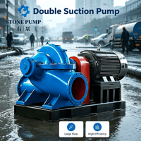 Pompe à corps divisé axial 50Hz 60Hz 55kW 75kW 90kW 110kW 132kW, pompe horizontale à double aspiration pour transfert d'eau longue distance