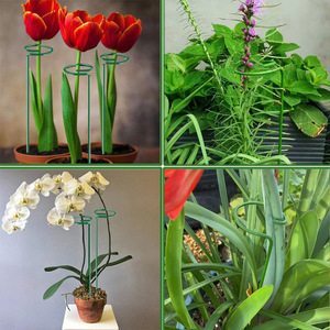 Hot Sale Garden Single Stem Plant <strong>Flower</strong> <strong>Support</strong> Ring Frame for Orchid Peony Lily Roseb Plant <strong>Support</strong> Stakes - Product Image 5