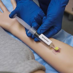 Mannequin de simulation pour adultes Leonardo pour ponction guidée par échographie, cathétérisme veineux central et artériel, et ponction lombaire - Product Image 4