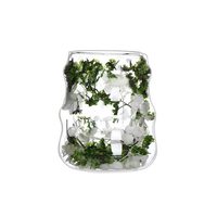Mug en verre à double paroi résistant à la chaleur pour café, fleurs séchées, tasse en verre à double paroi
