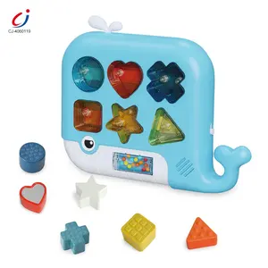 Chengji Vorm Sorteerder Speelgoed Plastic Montessori Leren Educatief Speelgoed Multi-Functionele Bijpassende Cognitieve Baby Vorm Sorter Speelgoed