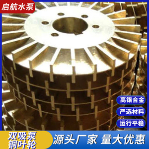 Bomba de Vacío de Anillo Líquido de Doble Succión con Impulsor de Cobre, Aspas Rectas Cerradas, Pulido, Montaje Universal, Soporte OEM, Piezas para Bomba de Vacío - Product Image 4