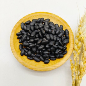 Haricots de lentilles noires biologique de qualité supérieure, lentilles noires d'urad dal à vendre - Product Image 5