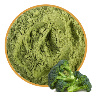 FD Brócoli liofilizado vegetal y materia prima en polvo Brócoli liofilizado a granel - Product Image 6
