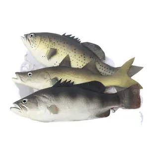 Modello biologico di pesce simulato di Design costiero Set tre pezzi sgombro piccolo tonno persico inciso tecnica