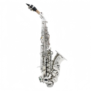 Saxophone soprano professionnel en cuivre plaqué nickel, corps en laiton, surface résistante à la rouille, tête en bakélite, instrument à vent - Product Image 2