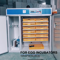 Ventilateur d'extraction pour incubateur d'œufs F30, ventilateur de refroidissement à contrôle de température, équipement d'éclosion automatique pour poulets et pigeons