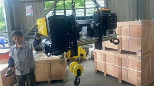 Di động ngoài trời thấp khoảng không 3 tấn tốc độ gấp đôi điện Wire Rope hoist - Product Image 2