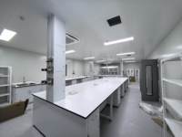 Robinet de gaz de laboratoire de qualité supérieure, résistant à la corrosion chimique, en laiton, pour équipement de laboratoire scolaire