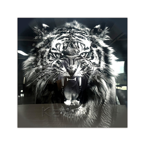 Modern Black and White Open Mouth Tiger Animal Watercolor Canvas Art Print with Frame and Rock for Home Decor