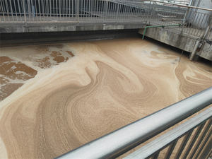 एरोबिक उपचार उच्च अमोनिया-नाइट्रोजन अपशिष्ट जल नाइट्राइफिकेशन बायोपॉवर300 एरोबिक उन्नत बैक्टीरिया - Product Image 5