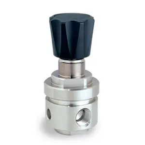 Stainless steel gas back pressure regulator for water