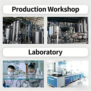 مستخلص بذور الخردل الأبيض 10:1، متوفر من مصنع شانشي، مستخلص بذور الخردل، مسحوق بذور الخردل الأبيض - Product Image 5