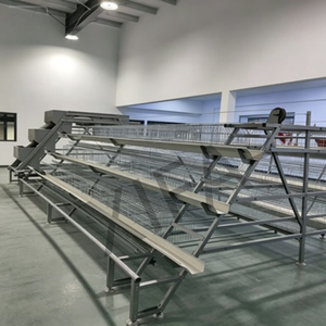 <span class=keywords><strong>Jaula</strong></span> para Pollos Tipo H, Sistema de Jaulas Automáticas para 200 Aves, para Granjas de Producción de Huevos - Product Image 5