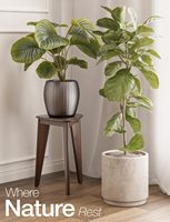 Banc d'angle de douche classique en bois massif de 18 pouces - Marchepied de salle de bain étanche (Noyer Chine) Durable et écologique