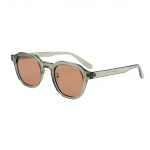 Occhiali da Sole Polarizzati Coreani Niche TR90 con Montatura Completa, per Uomo e Donna, Stile Celebrità di Internet, per Fotografia Street Style Senza Trucco - Product Image 1