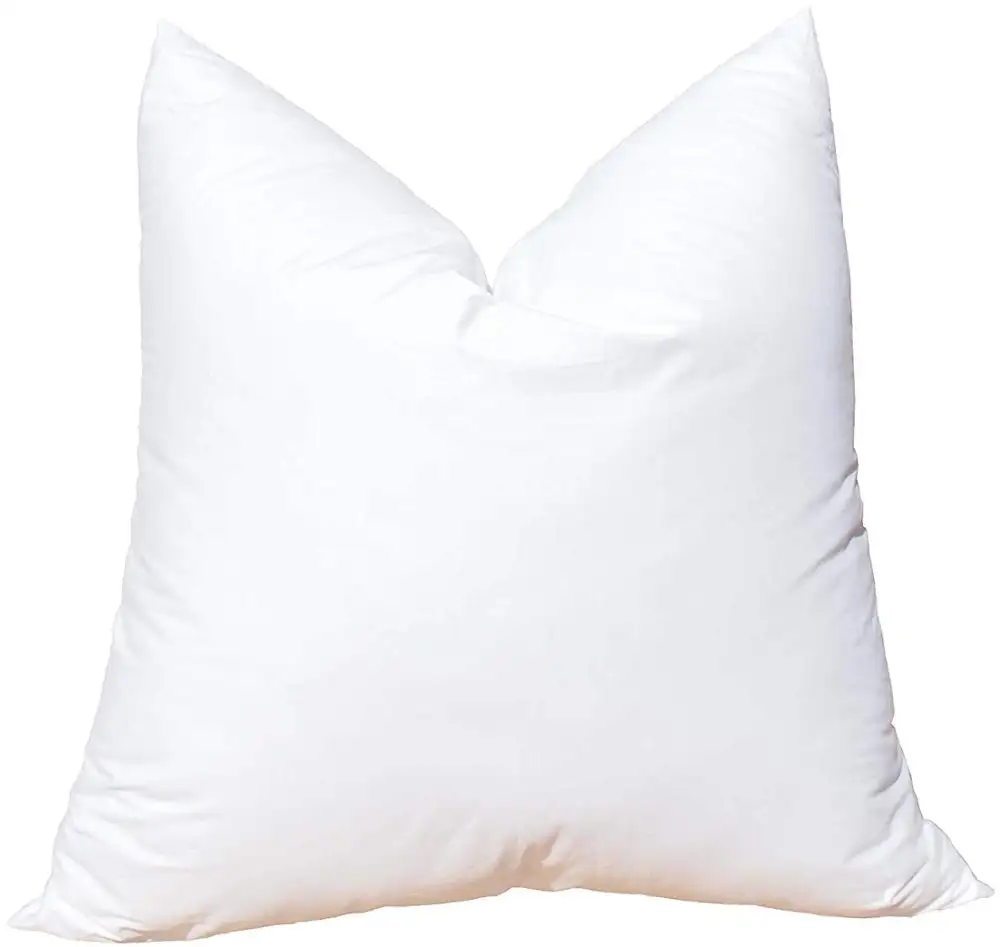 Yatak beyaz tüy aşağı yastıklar (2 Set)-20x20 inç kare kanepe ve kanepe yastık, % 100% pamuk ile tüy atmak yastık