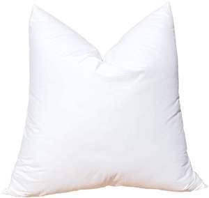 Literie Oreillers en plumes blanches (lot de 2) -Coussin carré pour canapé et canapé de 20x20 pouces, coussin en plumes avec 100% coton - Product Image 1