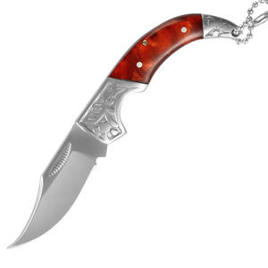 Couteau de poche pliable d'extérieur en acier inoxydable avec manche en résine, mini couteau à fruits portable avec porte-clés - Product Image 1