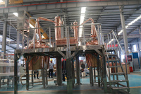 Usine de distillation de malt simple de 1000L, équipement de fermentation de bière artisanale manuel, moteur PLC, pompe en acier inoxydable, cuve sous pression