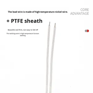 لوح تسخين سيراميك الألومينا للاستخدام الصناعي، مقاوم للحرارة العالية والأحماض والقلويات، لوح تسخين كهربائي مع ضمان لمدة عام - Product Image 3