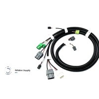 Harnais de câblage électrique personnalisé à âme en cuivre isolé en PVC pour applications informatiques