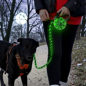 Sang trọng <span class=keywords><strong>LED</strong></span> Dog Leash bền nylon nhựa với phản chiếu in nhỏ lớn có thể thu vào sợi dây thừng cho an toàn đi bộ với thú cưng của bạn - Product Image 1