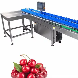 红樱桃樱桃水果分选分级机分选机分级机分级机生产线