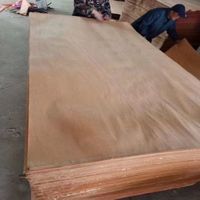 Placage de bois naturel d'okoumé du Gabon pour des placages de décoration d'intérieur d'hôtel