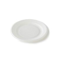 Assiettes à compartiments biodégradables en pulpe de bagasse de canne à sucre recyclée, jetables, pour fêtes, blanches, tailles 9''/10''/12''