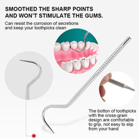 Ensemble de cure-dents réutilisables en acier inoxydable portable, étanche, mini outil de nettoyage buccal en métal, soin des dents, nettoyeur de bouche, fil dentaire