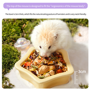 YEE Factory Wholesale Ceramic Hidehouse Food Bowl and Water <b>Bottle</b> Summer Cooling Hamster Accessories Set for Small Pet - Product Image 4