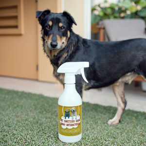 天然500mlペット用デオドラントスプレー犬猫小型動物環境にやさしい臭い除去用引き込み式便利なリビングルーム - Product Image 1