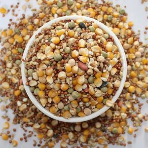 Pigeon Birds eed Pet Food Seeds Beutel kg - Product Image 3